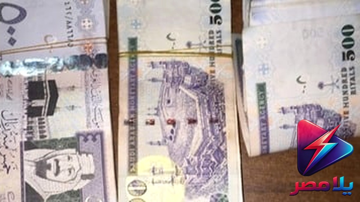 سعر الريال السعودي اليوم الأحد 30-8-2026 أمام الجنيه في البنوك المصرية