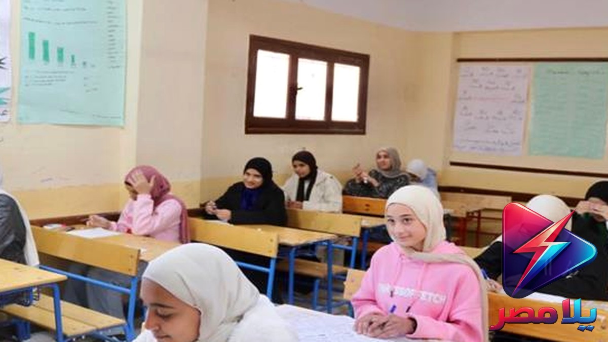 امتحان الرياضيات البحتة 2026: آراء الطلاب بين المتوسط والصعوبة ووزارة التعليم تنفي التسريب