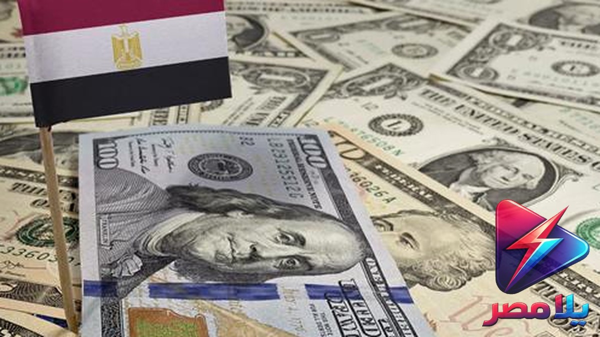 احتياطي النقد الأجنبي لمصر يتجاوز 55 مليار دولار لأول مرة في تاريخه