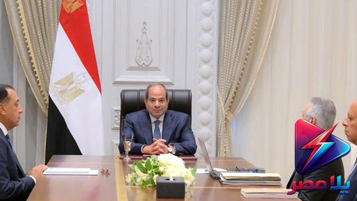 السيسي يوجه بتسريع الفصل في القضايا وتطوير منظومة العدالة الرقمية في اجتماع العلمين