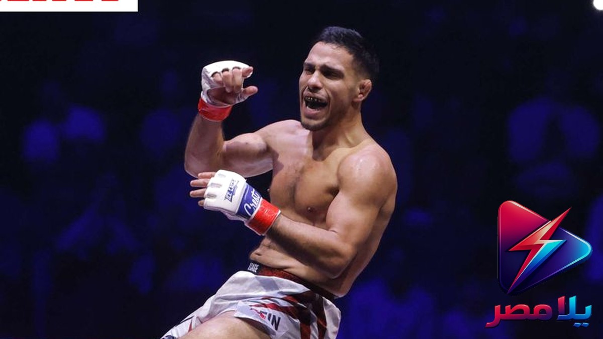 كونور ماكغريغور يعود إلى UFC بعد 5 سنوات: مواجهة نارية مع ماكس هولواي في UFC 329