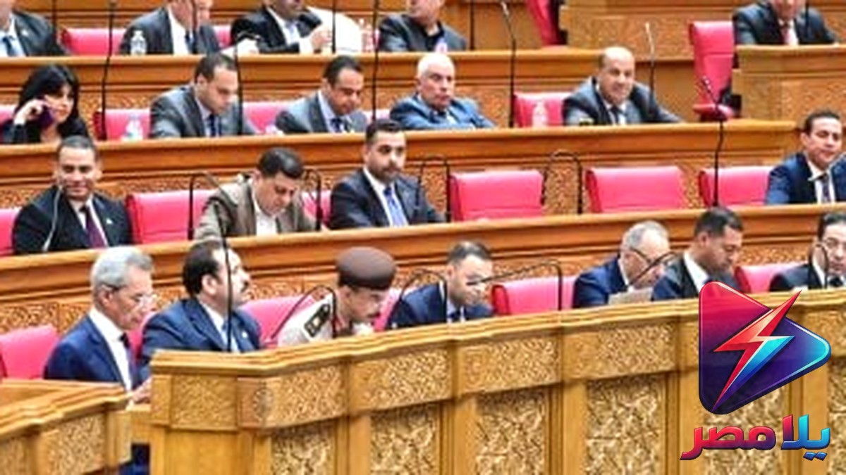 النواب يوافق على مادة جهاز مستقبل مصر: يتبع رئيس الجمهورية ويتمتع باستقلال