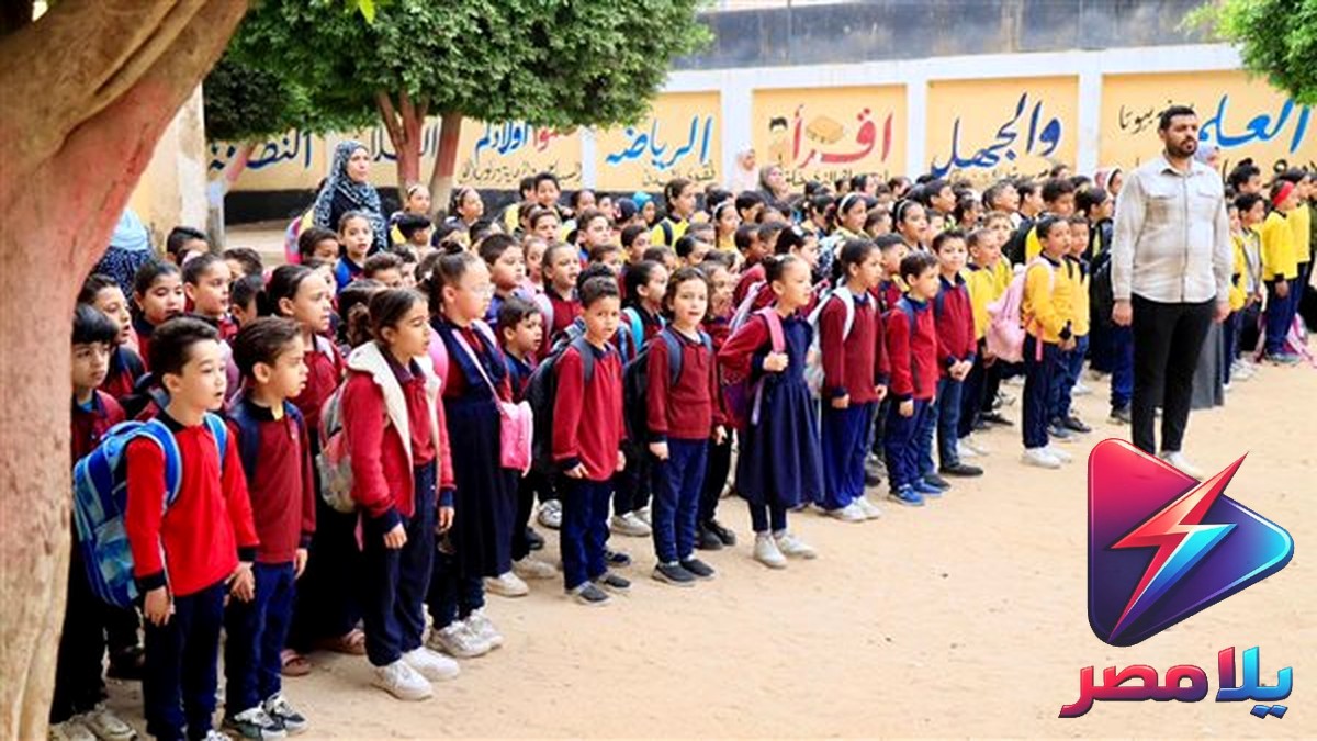 «بكرة المدرسة» توزع 40 ألف حقيبة دراسية قبل انطلاق العام الدراسي.. اعرف موعد الاستلام