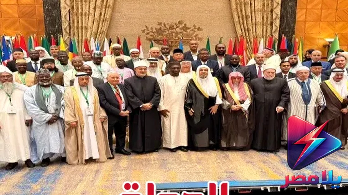 مفتي الجمهورية يحذر من فوضى الفتاوى الأسرية ويقدم توصيات عاجلة لمواجهة العنف ضد المرأة