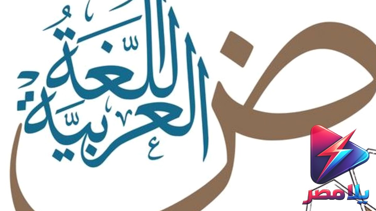 اليوم العالمي للغة العربية 2025: تطوير أم تراجع؟ أرقام وتصريحات حصرية