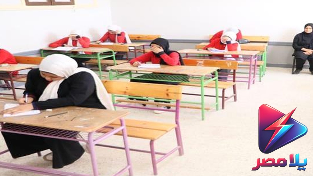 امتحان الرياضيات البحتة للثانوية العامة 2026: آراء الطلاب بين المتوسط والصعب.. ونماذج الإجابة قريباً