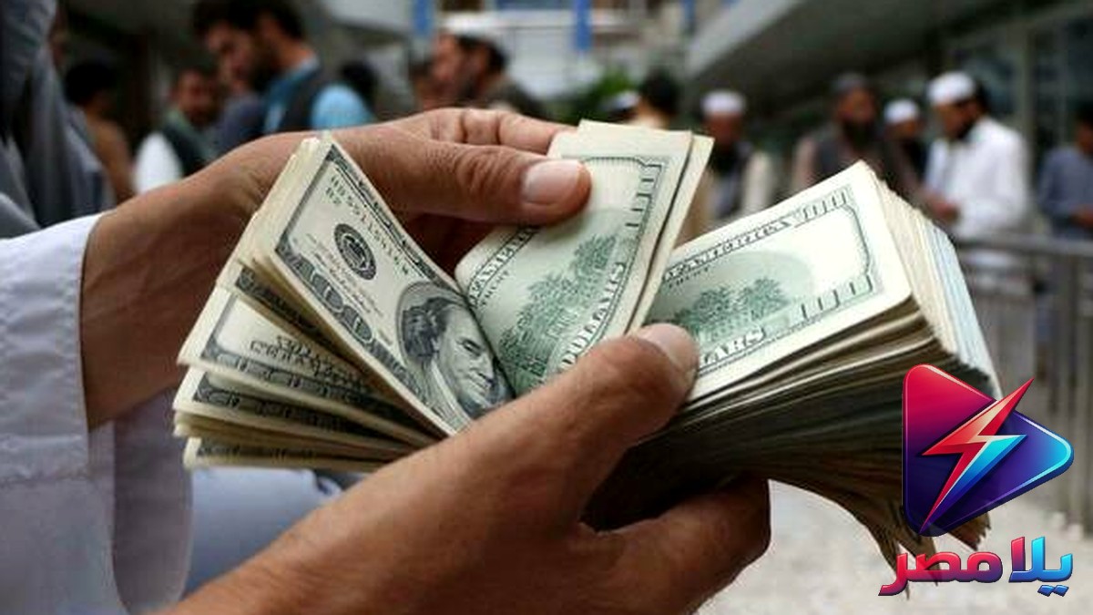 سعر الدولار اليوم في البنك الأهلي المصري الأربعاء 22 يوليو 2026