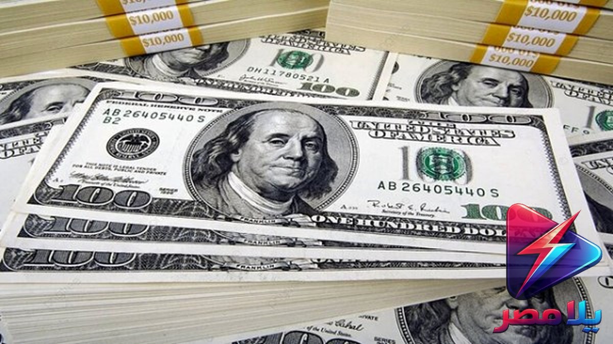 سعر الدولار الان في البنوك المصرية اليوم 6 يوليو 2026 - استقرار بعد تراجع 19 قرشاً