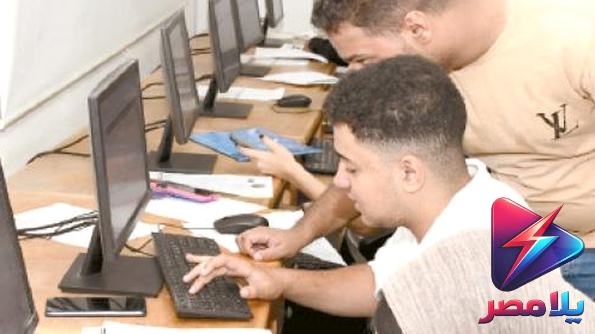 رابط نتيجة تنسيق المرحلة الثانية 2026.. خطوات الاستعلام برقم الجلوس من موقع مكتب التنسيق
