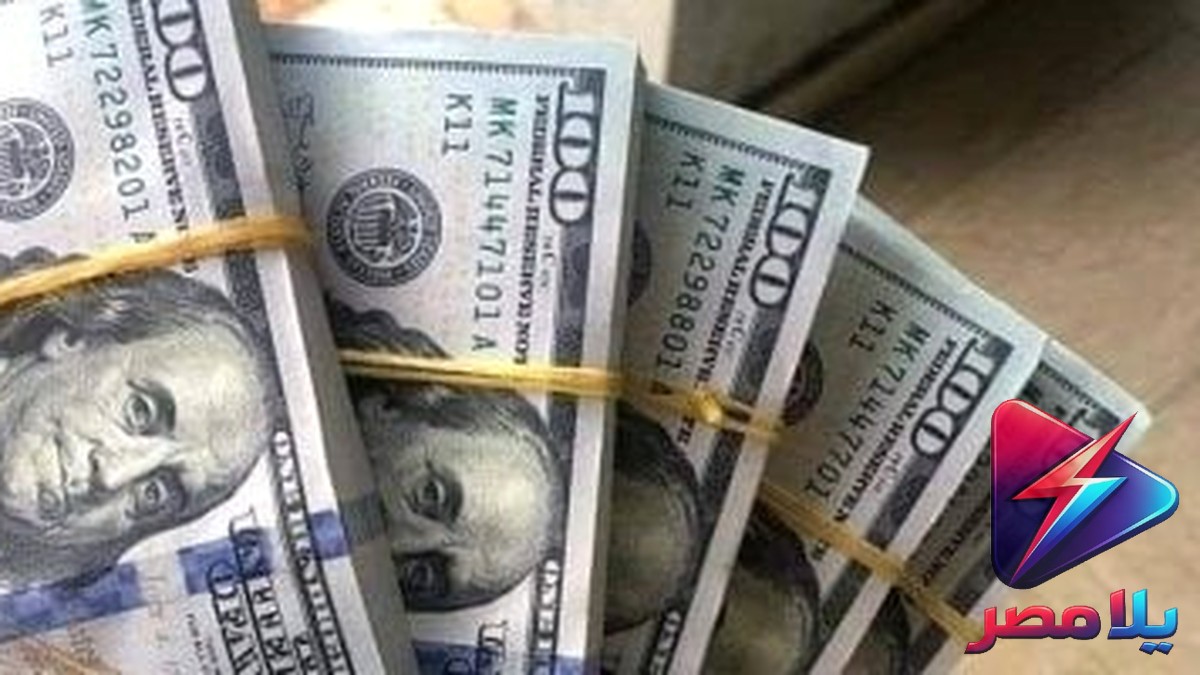 سعر الدولار اليوم مقابل الجنيه المصري السبت 11 يوليو 2026.. استقرار في البنوك