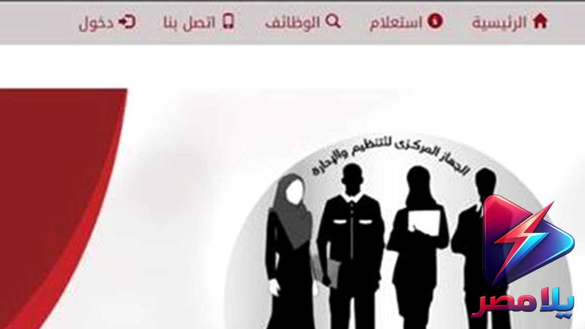 وظائف حكومية 2026: تعرف على التخصصات وشروط التقديم لوزارة التنمية المحلية والمعهد القومي للنقل ووزارة الري