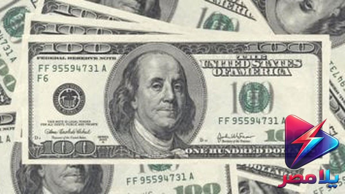سعر الدولار مقابل الجنيه اليوم الثلاثاء 14 يوليو 2026.. استقرار في البنوك