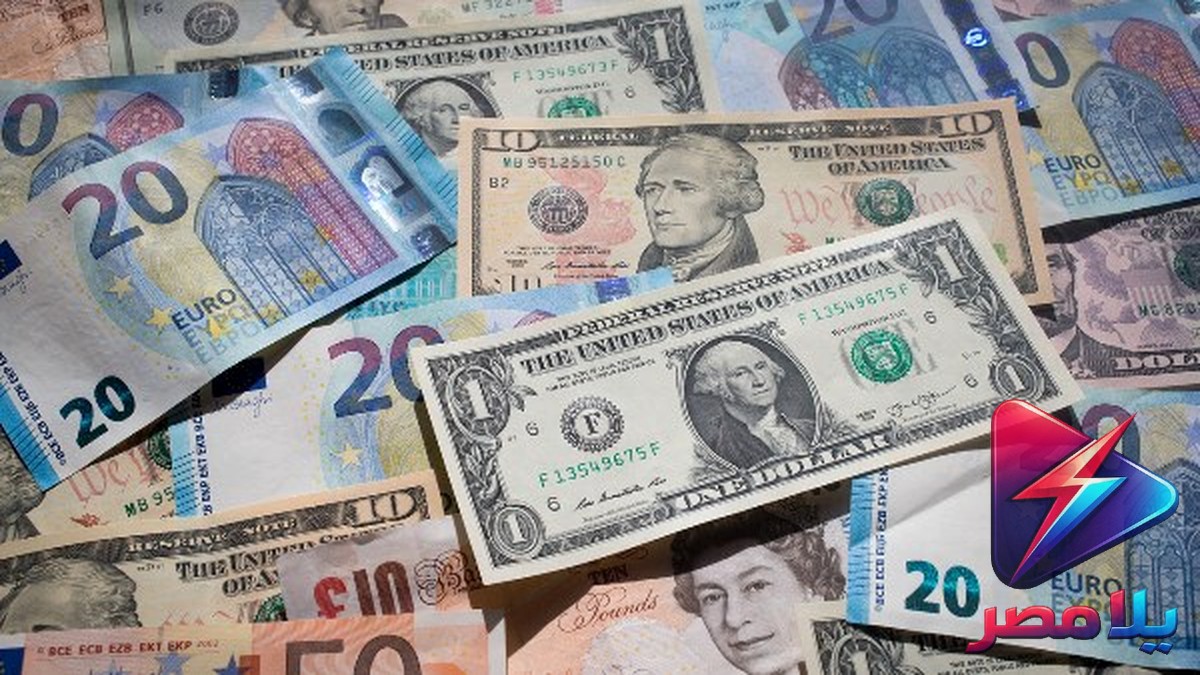 سعر الدولار اليوم في البنك الأهلي الثلاثاء 18-8-2026: استقرار عند 50.17 جنيه للشراء