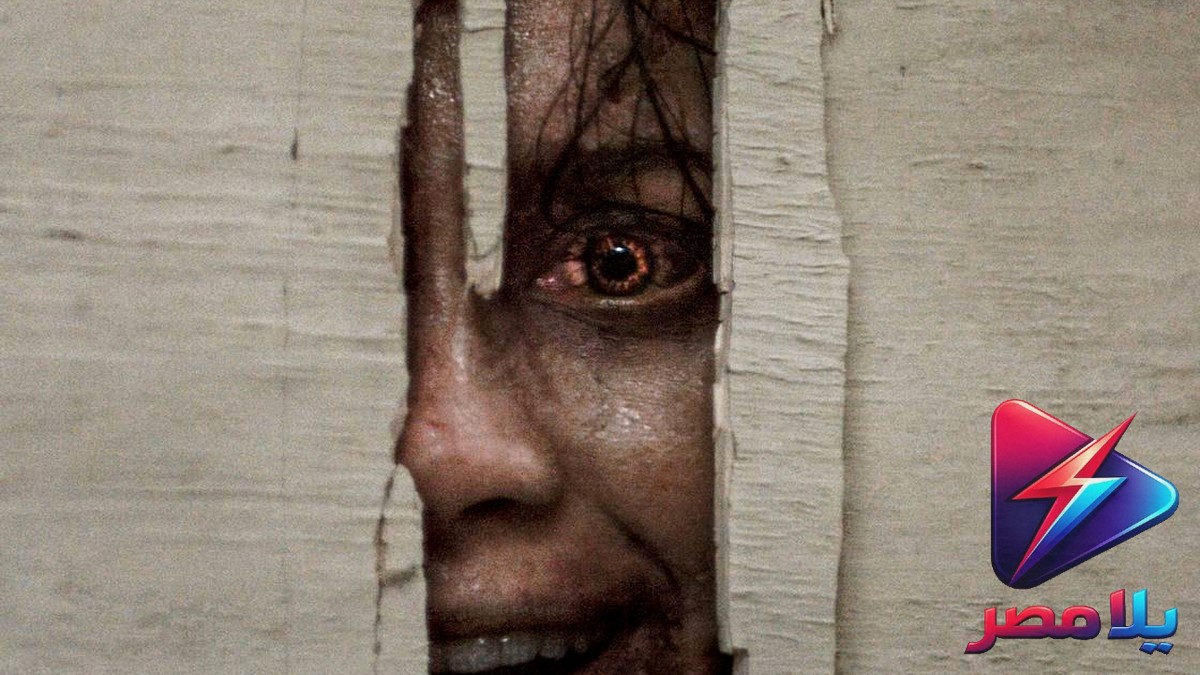 فيلم الرعب Evil Dead Burn يحقق 13.7 مليون دولار في افتتاحه ويهيئ لسلسلة جديدة