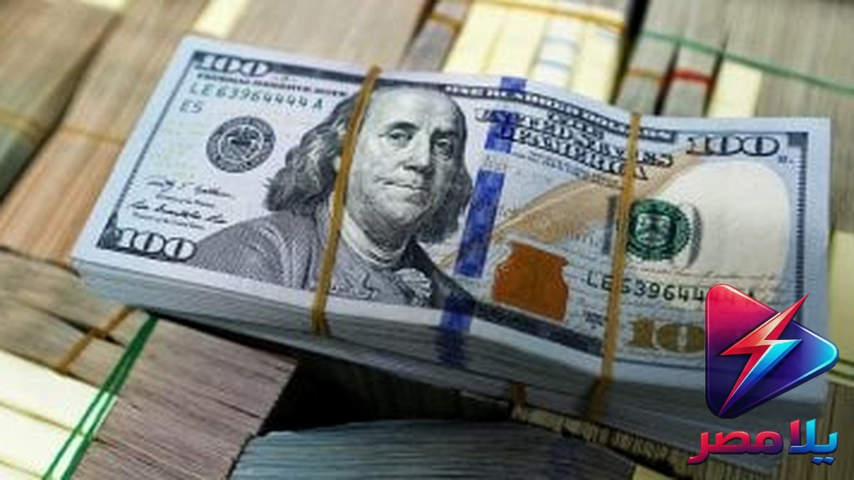 سعر الدولار اليوم الثلاثاء 11-8-2026: استقرار في البنك المركزي عند 50.21 جنيه للشراء