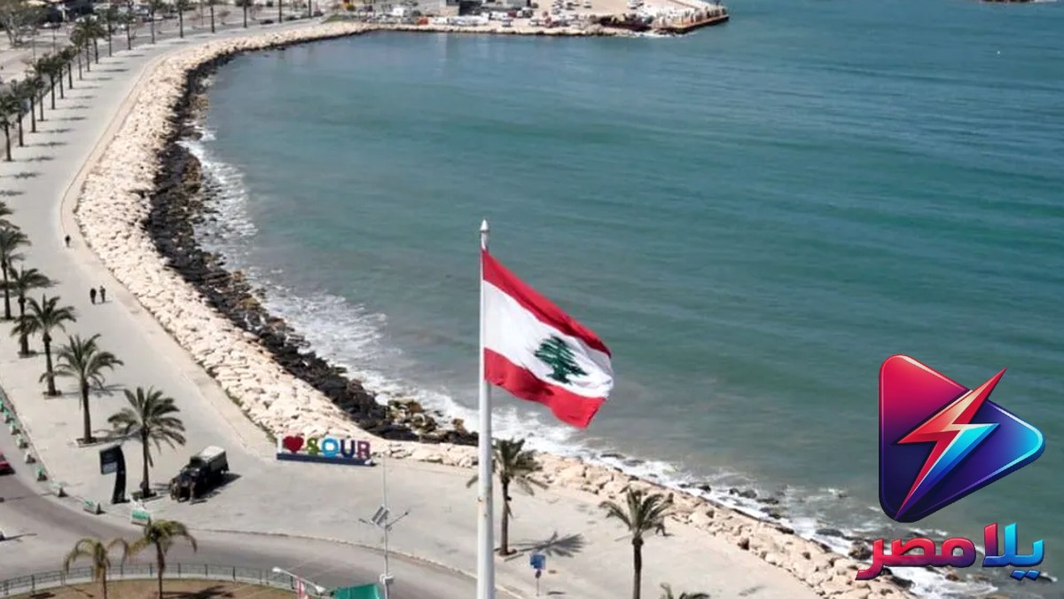صور مذهلة: جوجل تطلق ميزة فيديو ريمكس ونموذج نانو بانانا 2 لايت لتوليد الصور في ثوانٍ