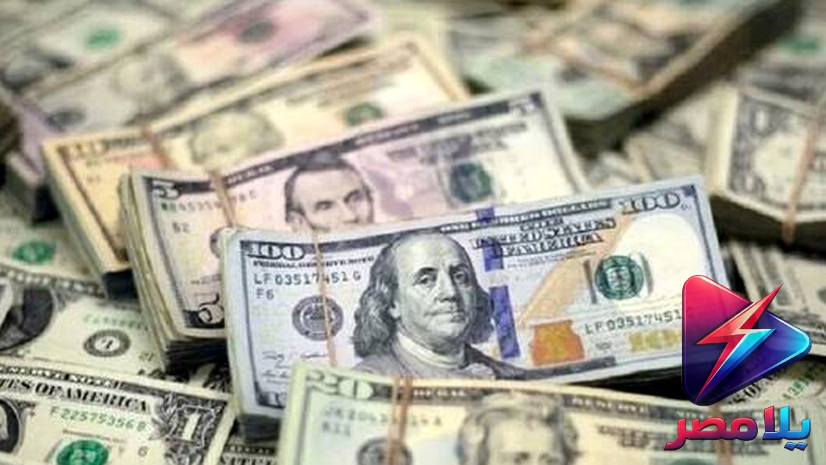 سعر الدولار الان في البنوك المصرية اليوم الأربعاء 8-7-2026 – ارتفاع جديد