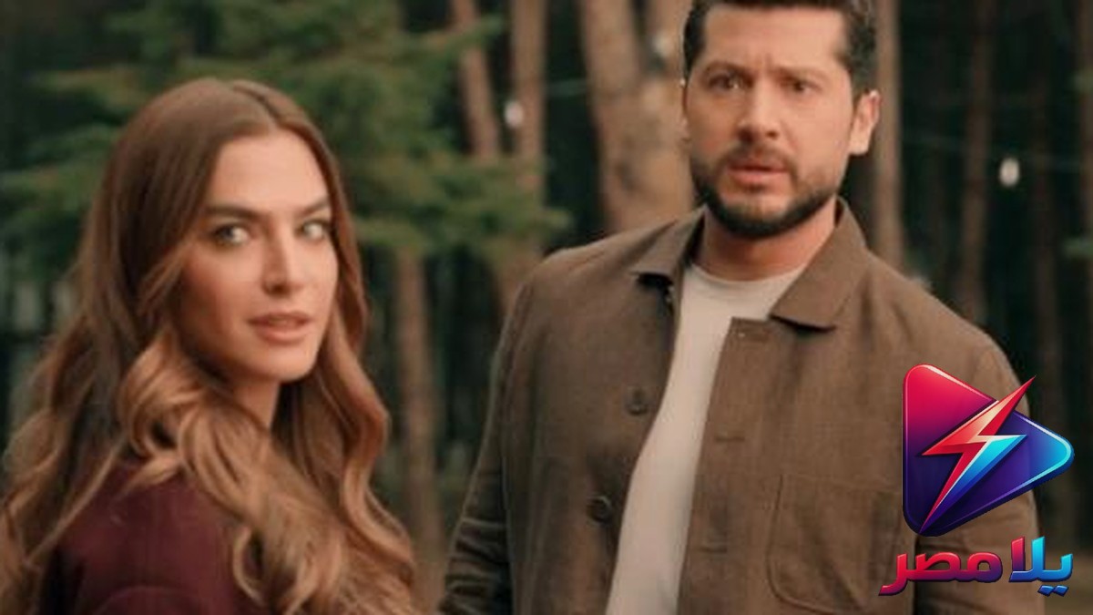 موعد الحلقة 20 من مسلسل حب على ورق والقصة الكاملة لأحداثها على شاهد