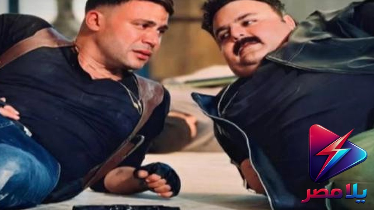 إيرادات فيلم صقر وكناريا تقترب من 43 مليون جنيه في مصر وتتصدر شباك التذاكر