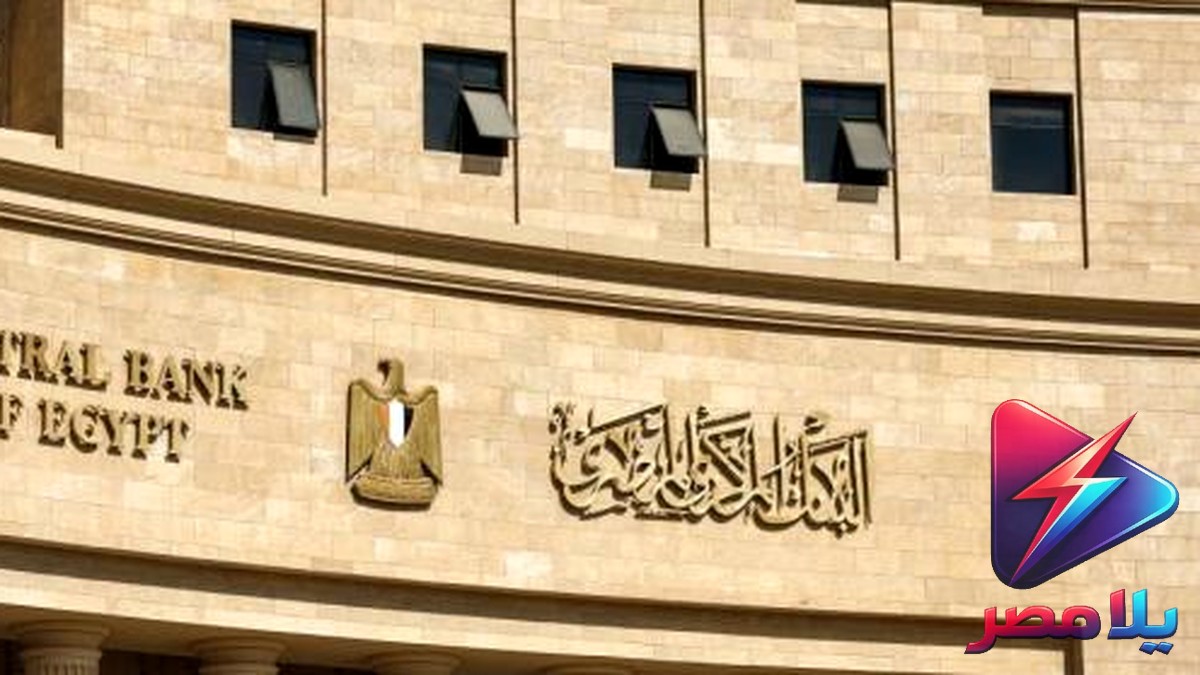 البنك المركزي يوافق على لوائح منصة الهوية المالية الرقمية: فتح حسابات إلكترونيًا قريبًا