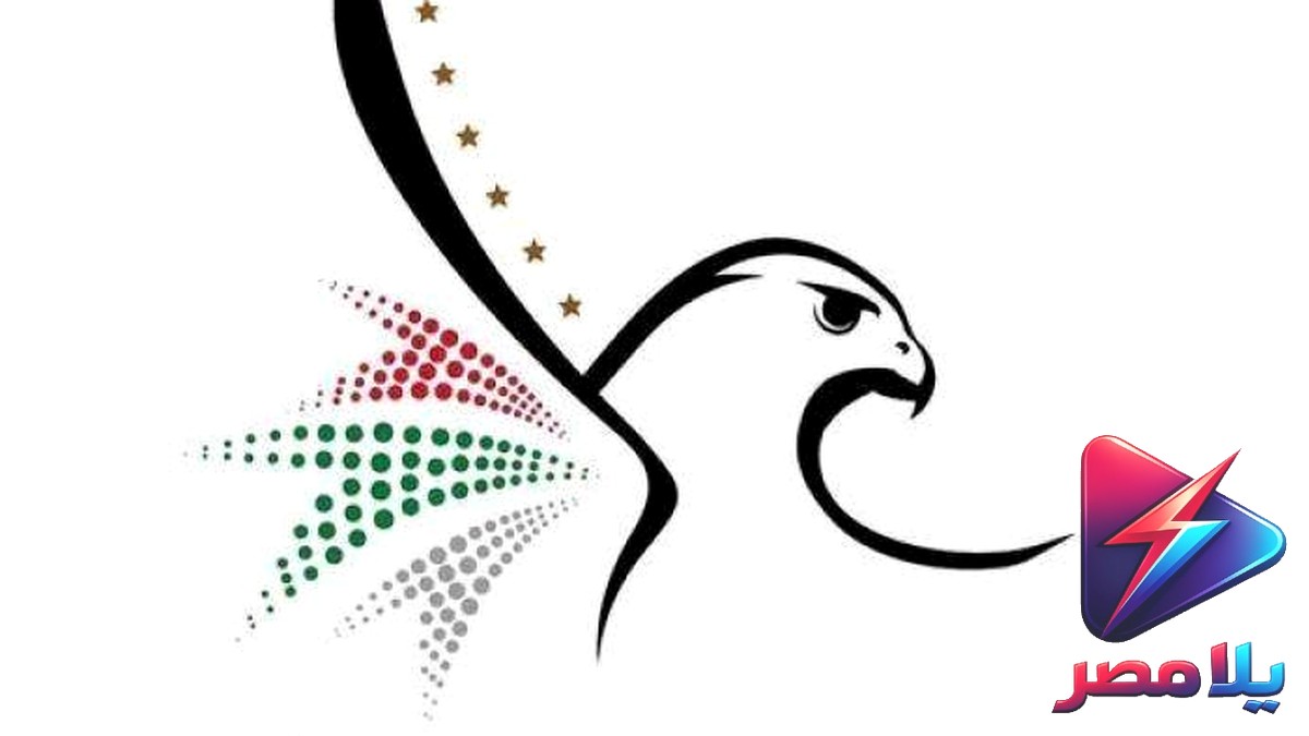 تأشيرة الدخول إلى مصر: المنظومة الجديدة تطلق أول أغسطس 2026 وتُحدث نقلة في تجربة السائح