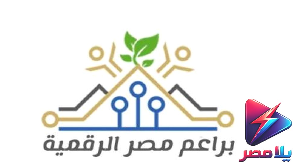 نتائج براعم مصر الرقمية 2026.. رابط الاستعلام وموعد بدء التدريب
