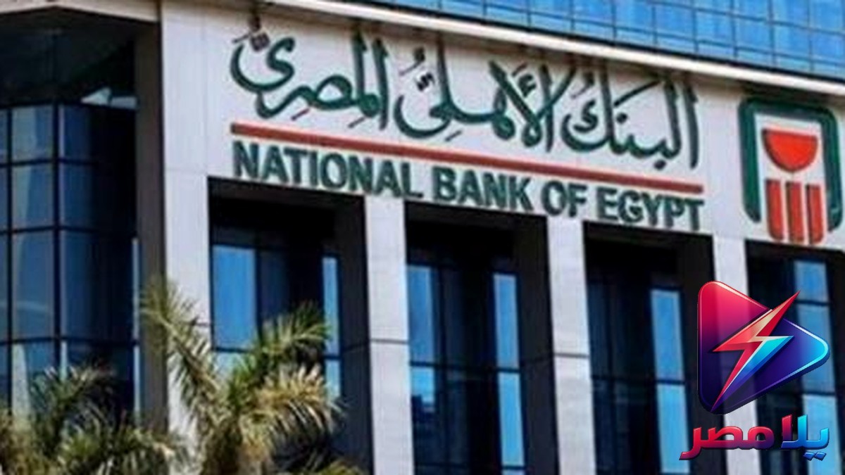أسعار العملات اليوم الاثنين 13 يوليو 2026.. استقرار الدولار واليورو في البنوك المصرية