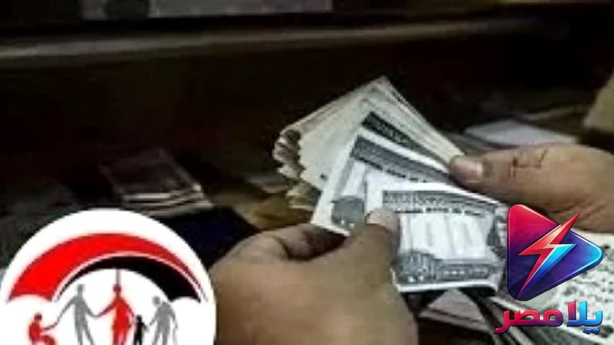 استعلام تكافل وكرامة بالرقم القومي 2026.. خطوات سهلة ورابط رسمي لمعرفة حالة البطاقة