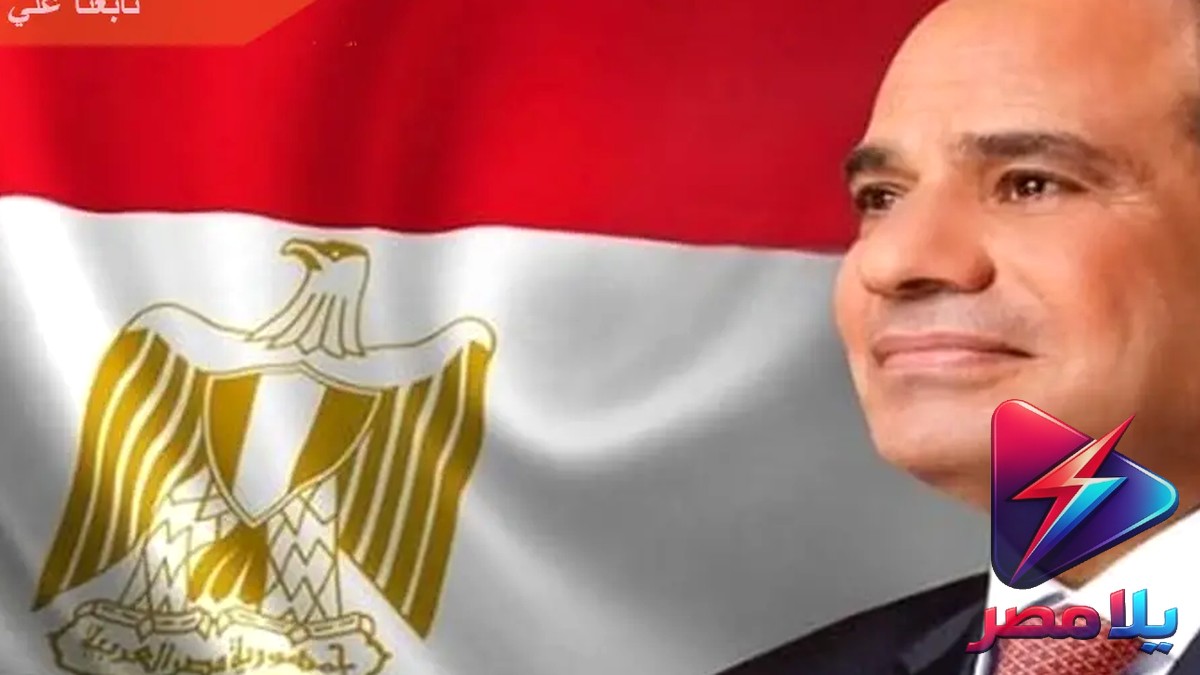 جوهر نبيل: تكريم السيسي لمنتخب مصر رسالة دعم قوية للرياضيين