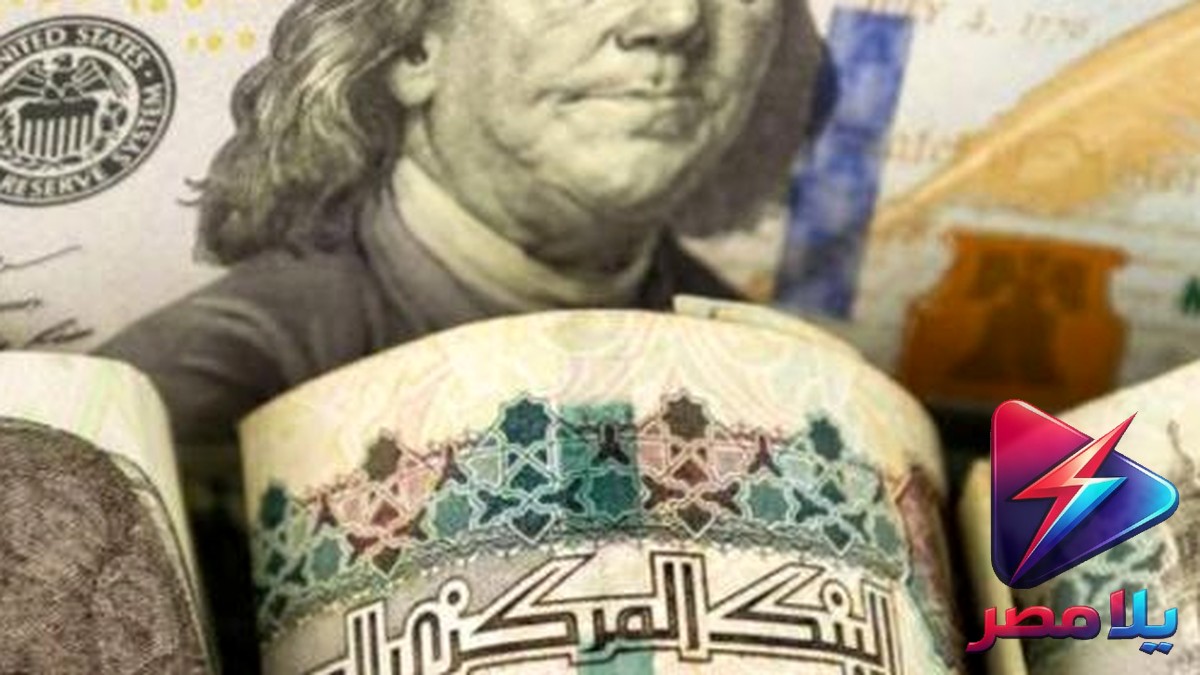 سعر الدولار اليوم مقابل الجنيه المصري السبت 11 يوليو 2026.. استقرار في البنوك