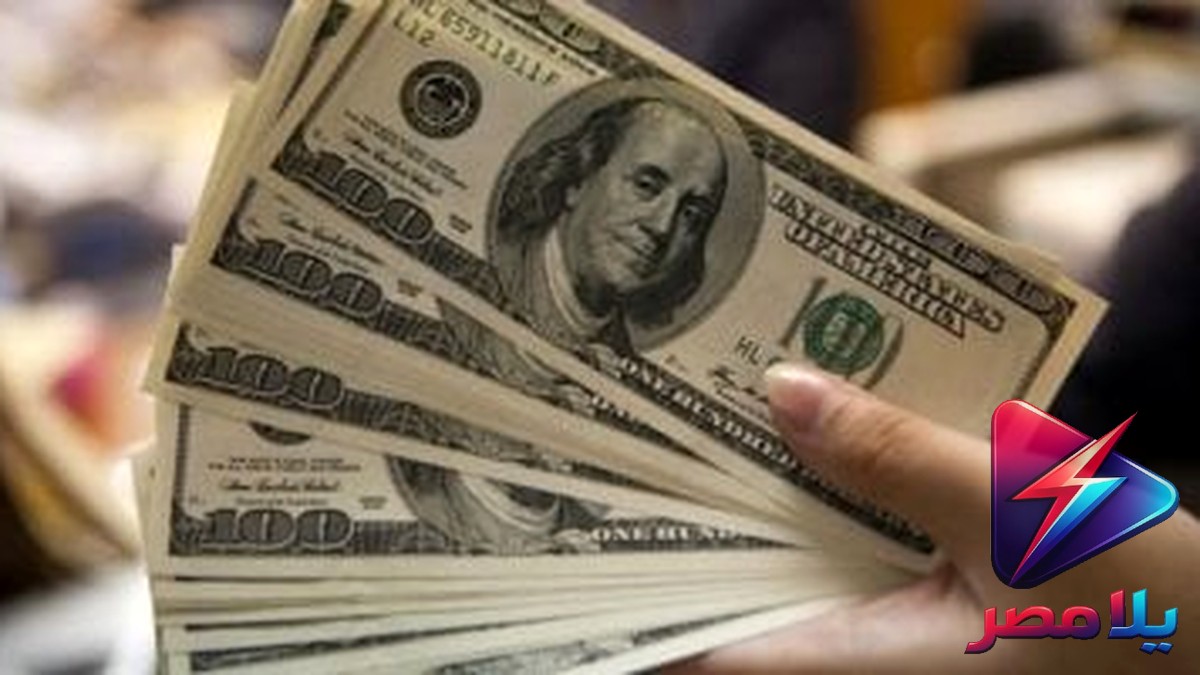 سعر الدولار الآن في البنوك المصرية اليوم الأربعاء 26-8-2026 .. استقرار عند 50.37 جنيه للشراء