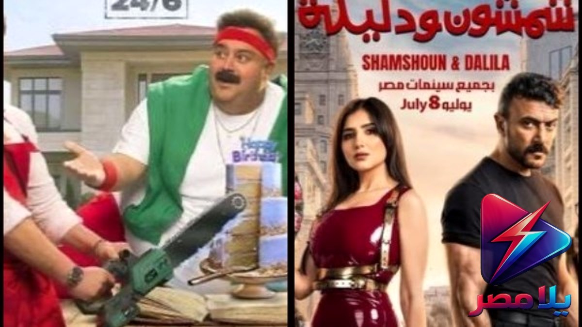صقر وكناريا يتصدر شباك التذاكر بـ75 مليون جنيه في 16 يوماً