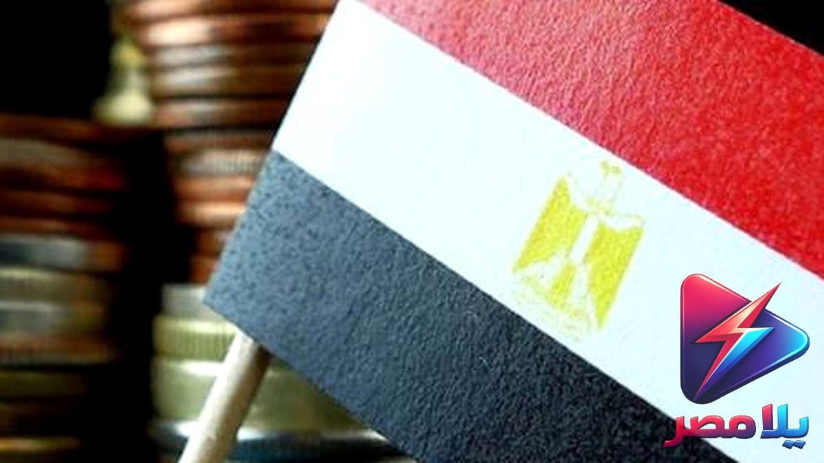 مورجان ستانلي يتوقع خفض الفائدة في مصر 200 نقطة أساس والبنك المركزي يطلق حملة لمكافحة الاحتيال