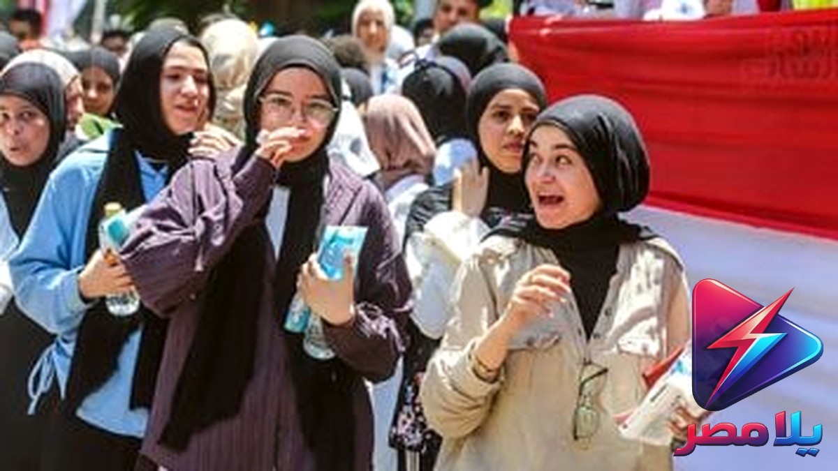 ترقبوا نتيجة الثانوية العامة 2026.. اعتماد الوزير خلال أيام والاستعلام برقم الجلوس