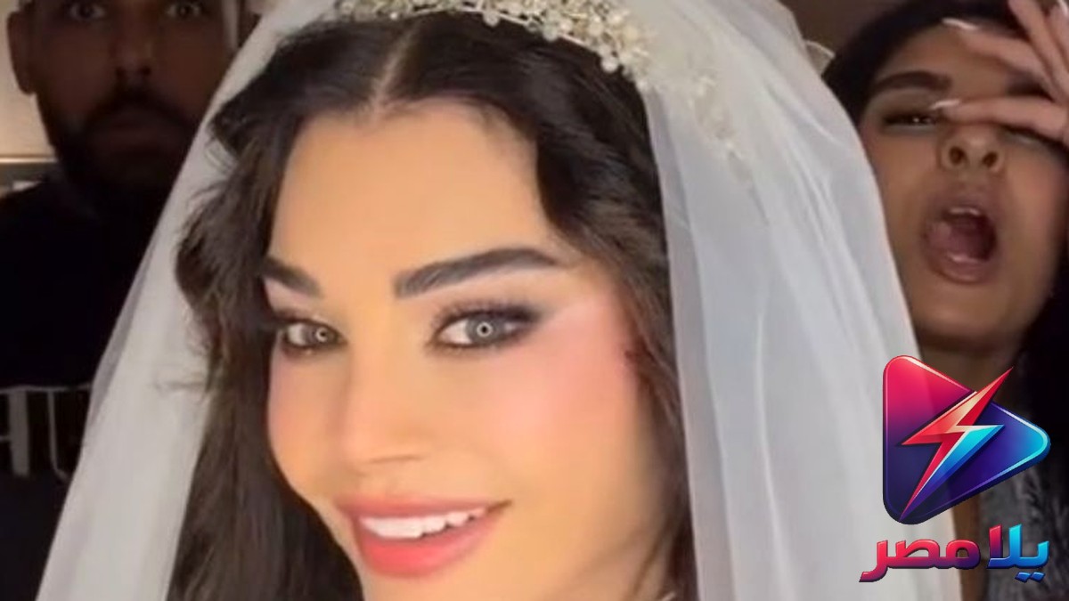 هيفاء وهبي تشعل السوشيال ميديا بفستان الزفاف.. سر الإطلالة المثيرة للجدل