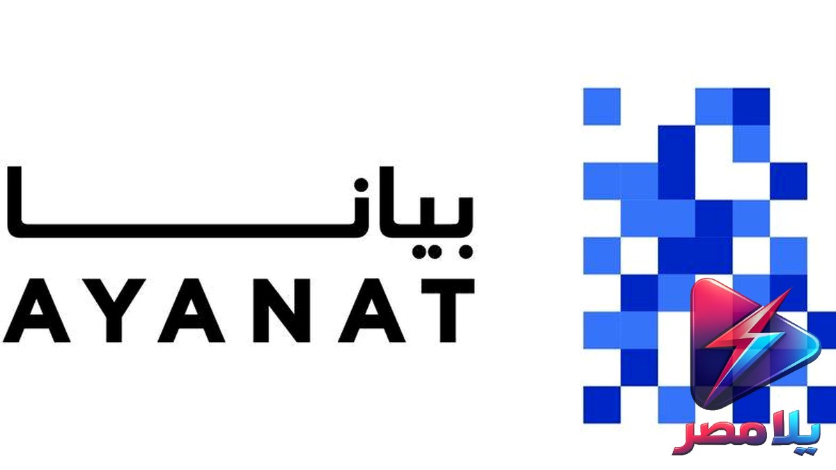 «بيانات»: منصة رقمية تربط بين المركبات والأسواق المالية والتعليم في مصر وعمان والإمارات